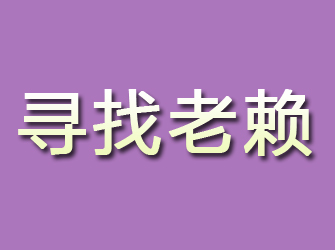 定日寻找老赖